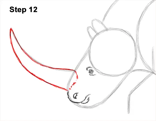 How to Draw a Woolly Rhinoceros 12