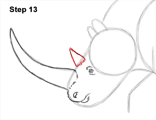 How to Draw a Woolly Rhinoceros 13