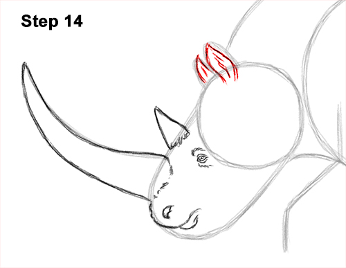 How to Draw a Woolly Rhinoceros 14