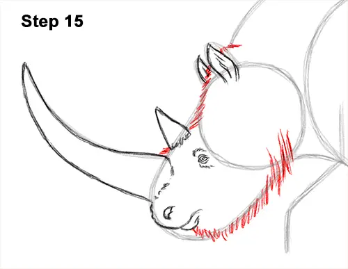 How to Draw a Woolly Rhinoceros 15