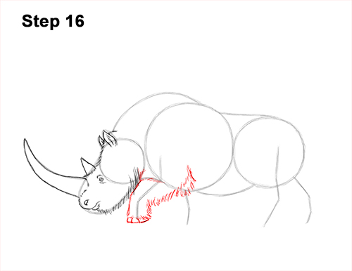 How to Draw a Woolly Rhinoceros 16