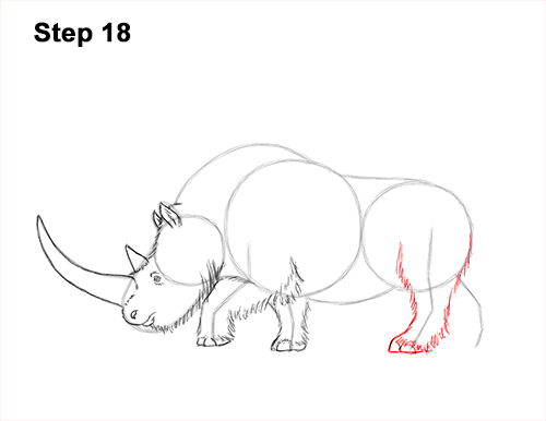 How to Draw a Woolly Rhinoceros 18