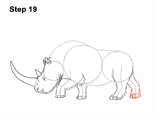 How to Draw a Woolly Rhinoceros 19