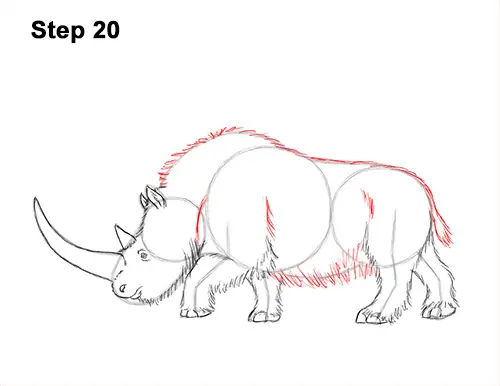 How to Draw a Woolly Rhinoceros 20