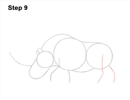 How to Draw a Woolly Rhinoceros 9