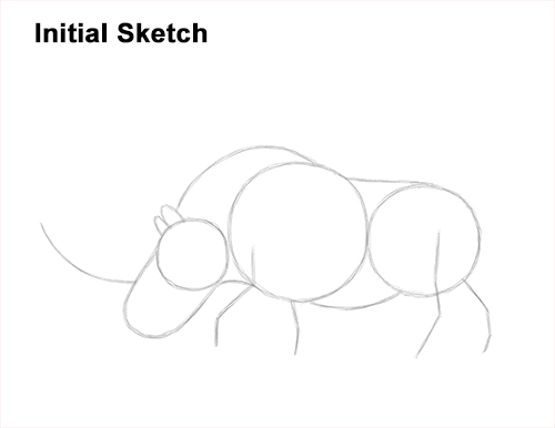 How to Draw a Woolly Rhinoceros Guide Lines