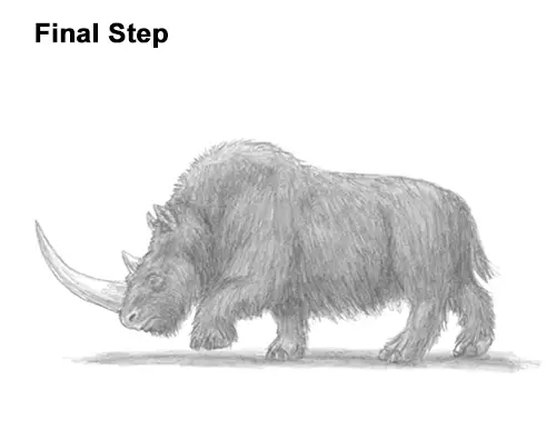 How to Draw a Woolly Rhinoceros