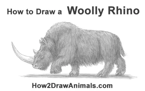 How to Draw a Woolly Rhinoceros