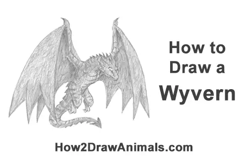 How to Draw Wyvern Dragon Wings Flying