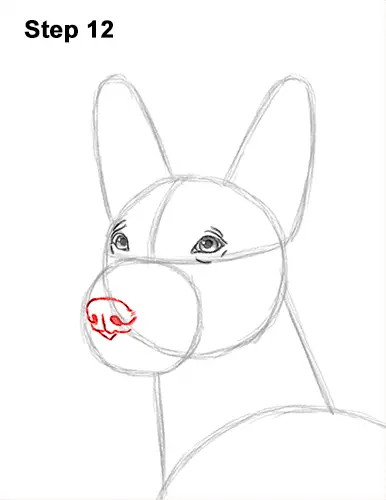 How to Draw a Xoloitzcuintle Mexican Hairless Dog 12