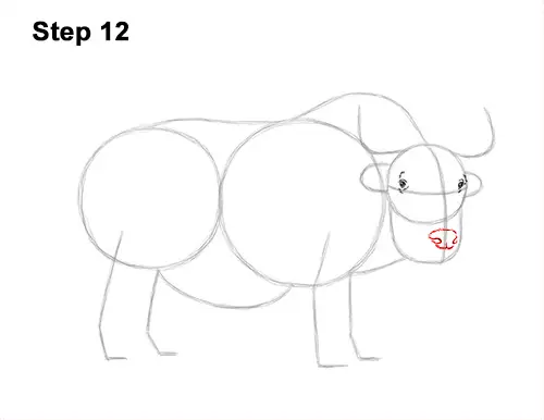 How to Draw a Domestic Himalayan Tibet Yak 12