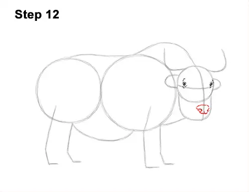 Featured image of post How To Draw A Yak Step By Step Work on the whole figure paying special attention to detail