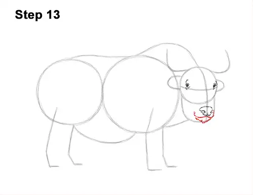 How to Draw a Domestic Himalayan Tibet Yak 13