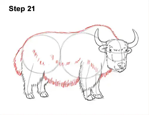 Featured image of post How To Draw A Simple Yak To create a simple outline i opted for the monoline brush in the calligraphy section
