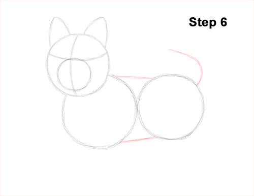 How to Draw a Yorkshire Terrier Dog