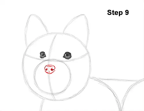 How to Draw a Yorkshire Terrier Dog