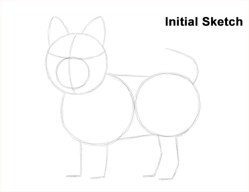 Draw Yorkshire Terrier Sketch