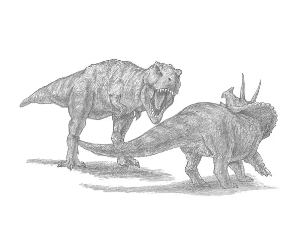 Dinosaur Battle Drawing