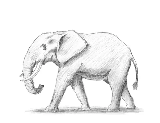 How to Draw an African Elephant
