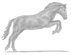 How to Draw Horse Jumping