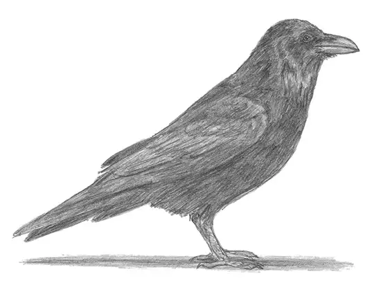How to Draw a Crow or Raven Side